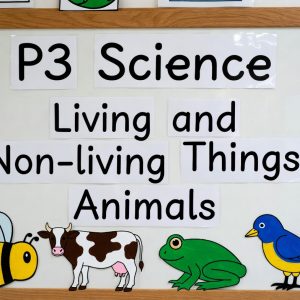 P3 Science