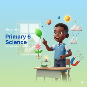 P6 Science