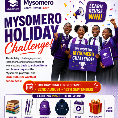 Mysomero Holiday Challenge